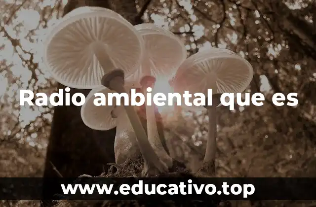 Radio ambiental que es