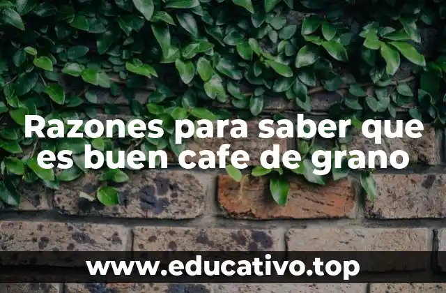 Razones para saber que es buen cafe de grano