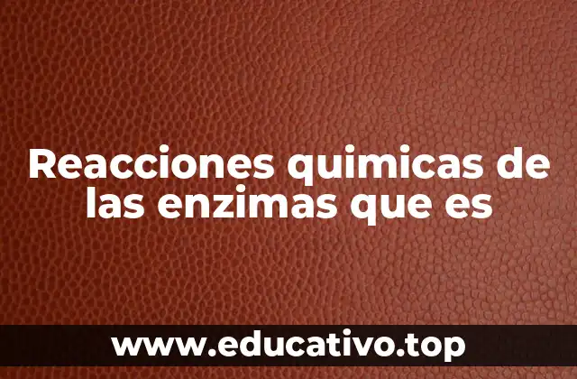 Reacciones quimicas de las enzimas que es