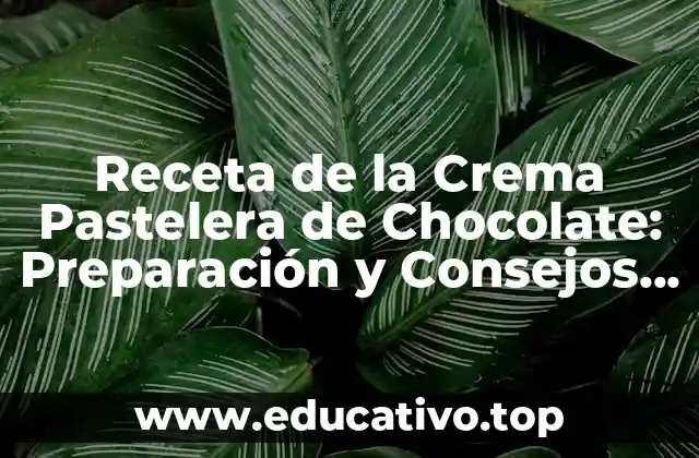Receta de la Crema Pastelera de Chocolate: Preparación y Consejos para un Delicioso Postre