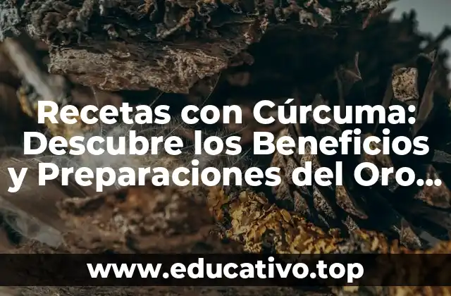 Recetas con Cúrcuma: Descubre los Beneficios y Preparaciones del Oro Amarillo