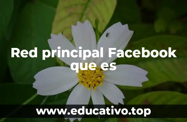 Red principal Facebook que es