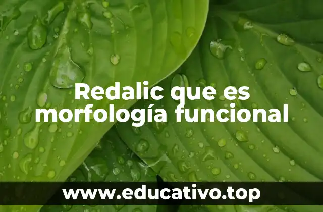 Redalic que es morfología funcional