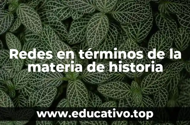 Redes en términos de la materia de historia