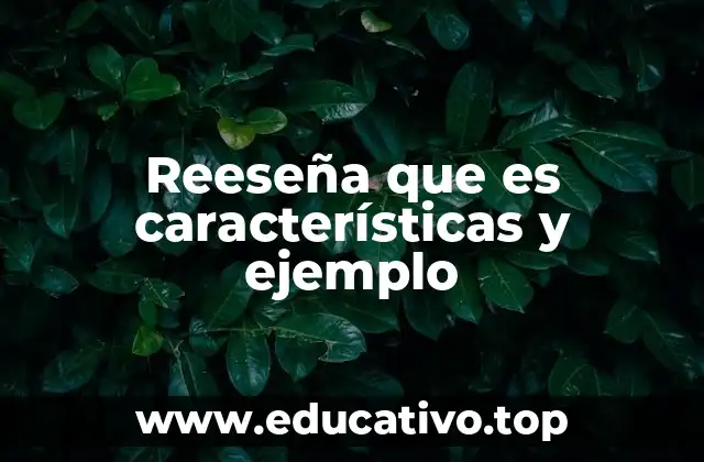 Reeseña que es características y ejemplo
