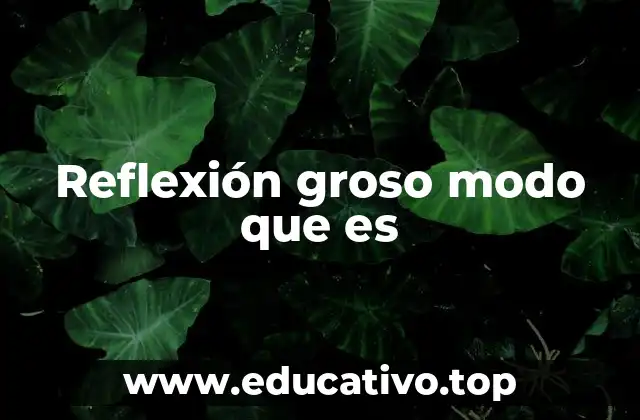 Reflexión groso modo que es