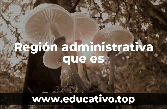 La organización territorial y su importancia