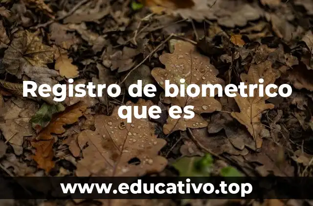 Registro de biometrico que es