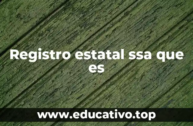Registro estatal ssa que es