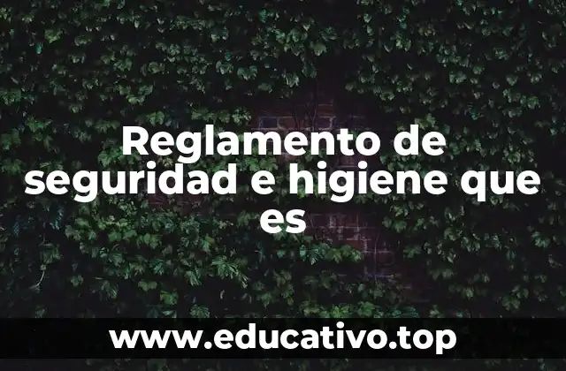 Reglamento de seguridad e higiene que es