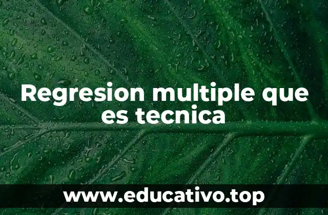 Regresion multiple que es tecnica