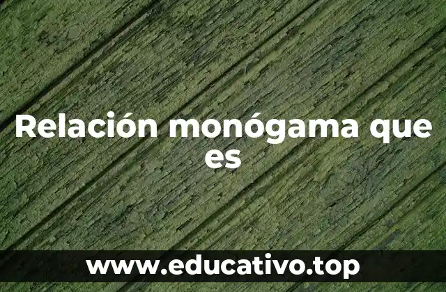 Relación monógama que es