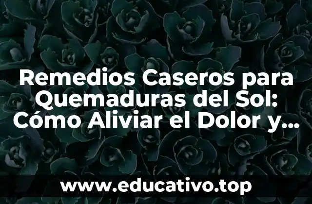 Remedios Caseros para Quemaduras del Sol: Cómo Aliviar el Dolor y la Irritación de Forma Natural