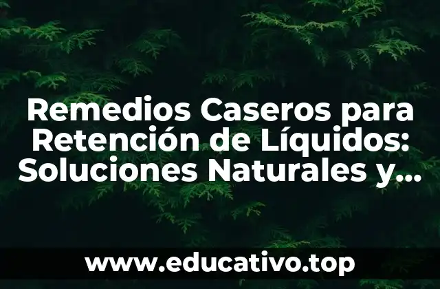 Remedios Caseros para Retención de Líquidos: Soluciones Naturales y Efectivas