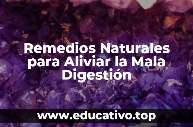 Remedios Naturales para Aliviar la Mala Digestión