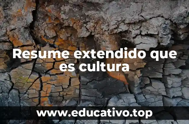 Resume extendido que es cultura