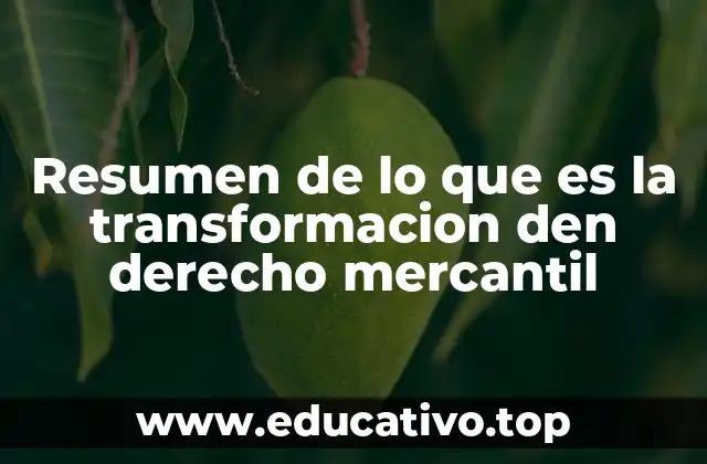 Resumen de lo que es la transformacion den derecho mercantil