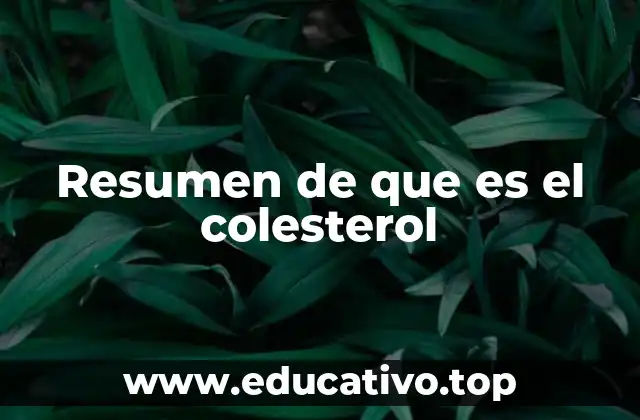 Resumen de que es el colesterol