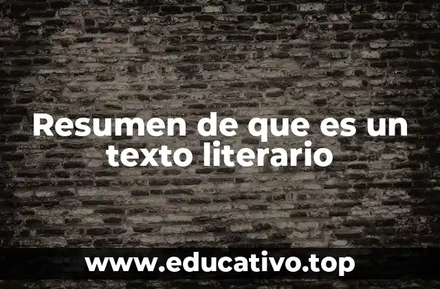 Resumen de que es un texto literario