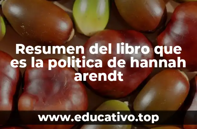 Resumen del libro que es la politica de hannah arendt