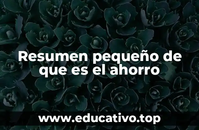 Resumen pequeño de que es el ahorro