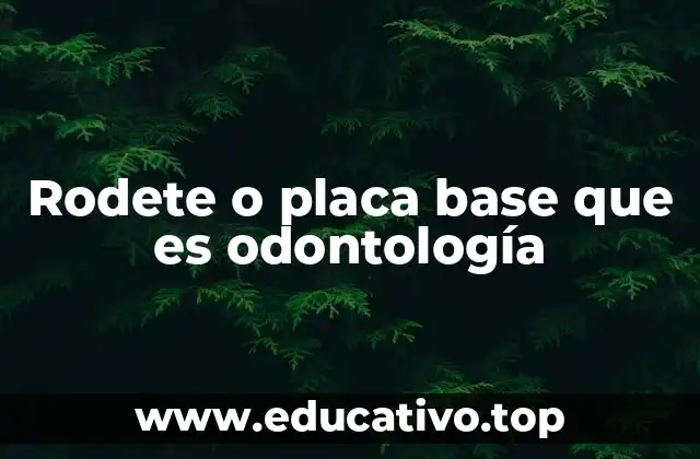 Rodete o placa base que es odontología