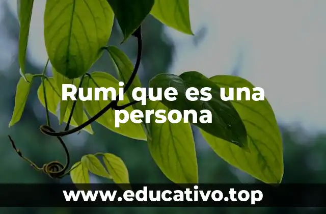 Rumi que es una persona