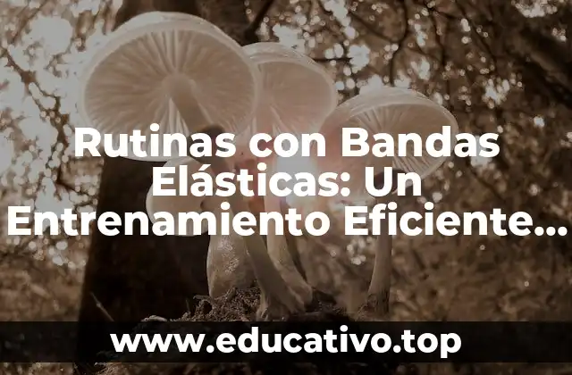 Rutinas con Bandas Elásticas: Un Entrenamiento Eficiente y Seguro