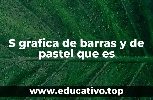 S grafica de barras y de pastel que es