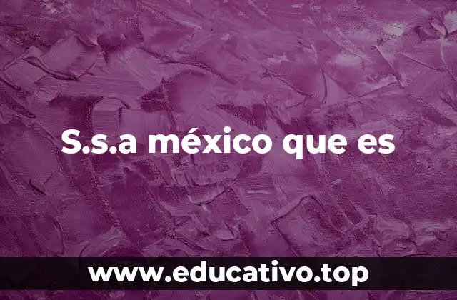 S.s.a méxico que es