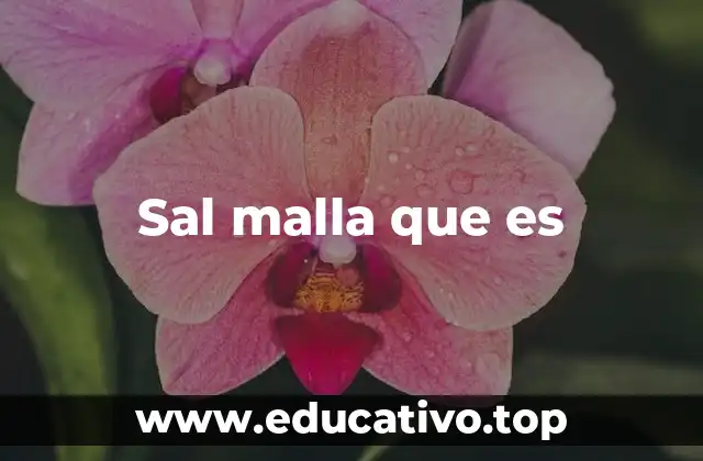 Sal malla que es