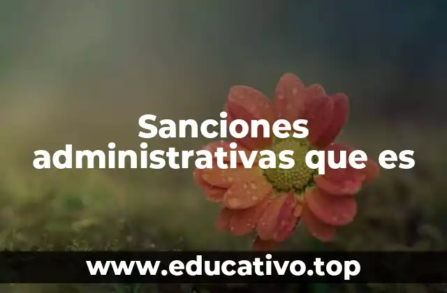 Sanciones administrativas que es