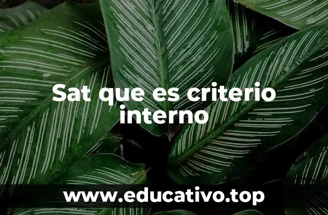 El papel del SAT en la formación de criterios internos