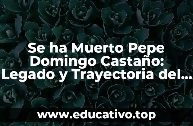 Se ha Muerto Pepe Domingo Castaño: Legado y Trayectoria del Famoso Cantante