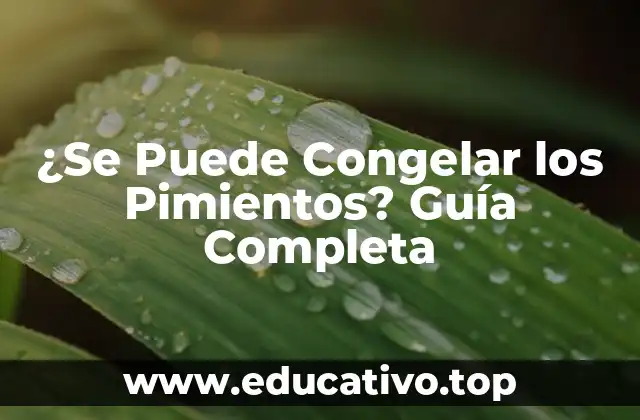 ¿Se Puede Congelar los Pimientos? Guía Completa