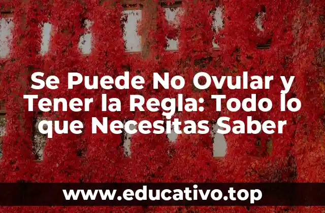 Se Puede No Ovular y Tener la Regla: Todo lo que Necesitas Saber