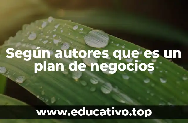 Según autores que es un plan de negocios