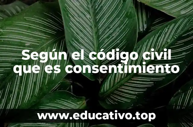 Según el código civil que es consentimiento