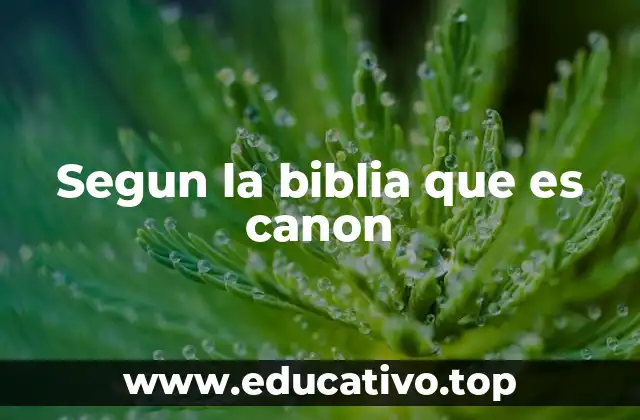 Segun la biblia que es canon
