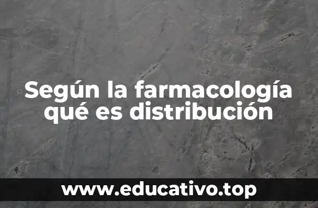 El viaje del fármaco dentro del cuerpo