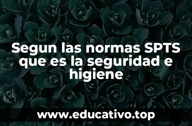 Segun las normas SPTS que es la seguridad e higiene