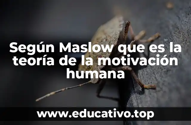 El enfoque humanista detrás de la teoría de Maslow