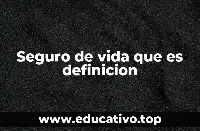 Seguro de vida que es definicion