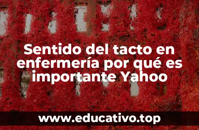 Sentido del tacto en enfermería por qué es importante Yahoo