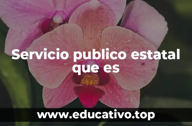 Servicio publico estatal que es