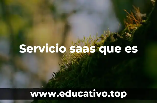 Servicio saas que es