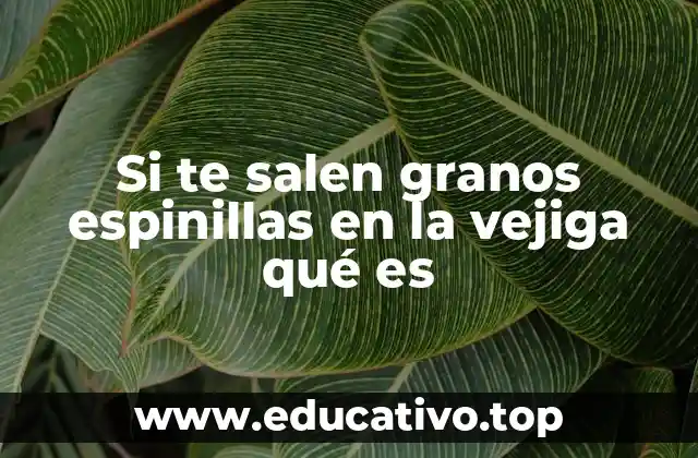 Si te salen granos espinillas en la vejiga qué es