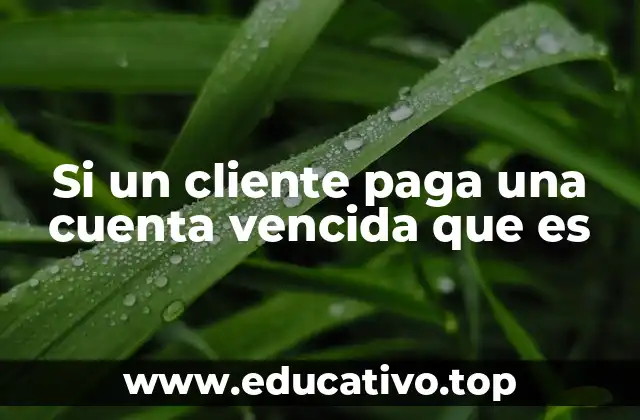 Consecuencias financieras y legales del pago de una cuenta vencida