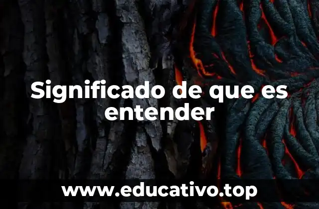 La importancia de la comprensión en la vida cotidiana