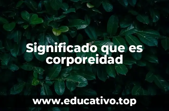 El cuerpo como experiencia y no solo estructura física